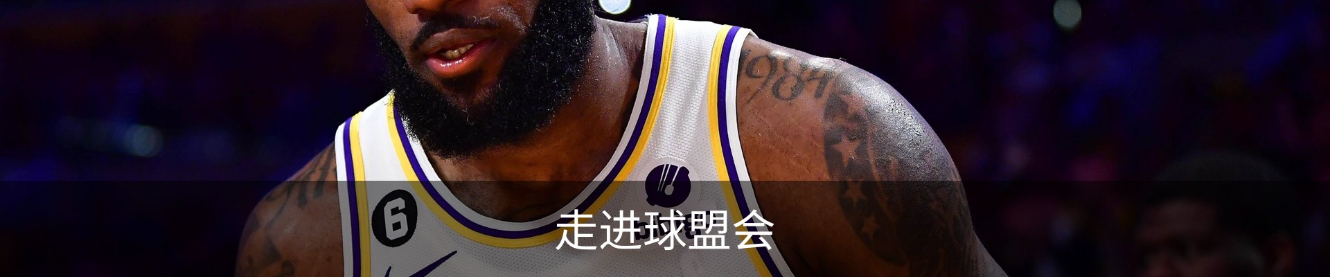 走进球盟会